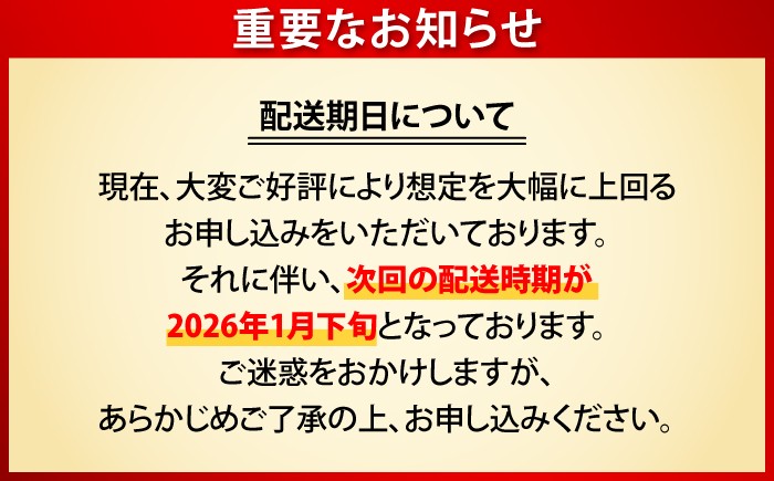 ビール サッポロ お酒 酒 日田