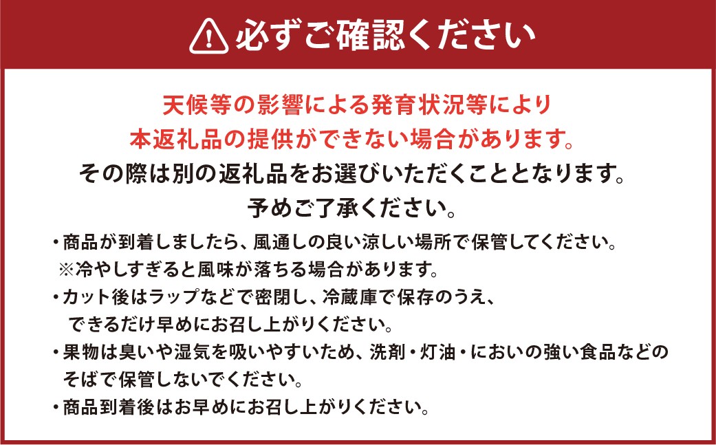 【2026年4月下旬発送開始】熊本市産 肥後グリーンメロン4-6玉 L以上 約7kg