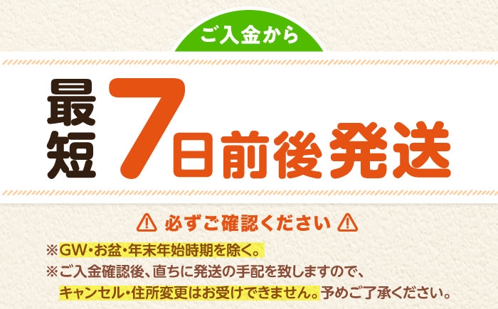 米 令和7年産 キヌヒカリ きぬひかり お米 白米 コメ おこめ 10kg 5kg 人気 おすすめ 産地直送 国産 新鮮