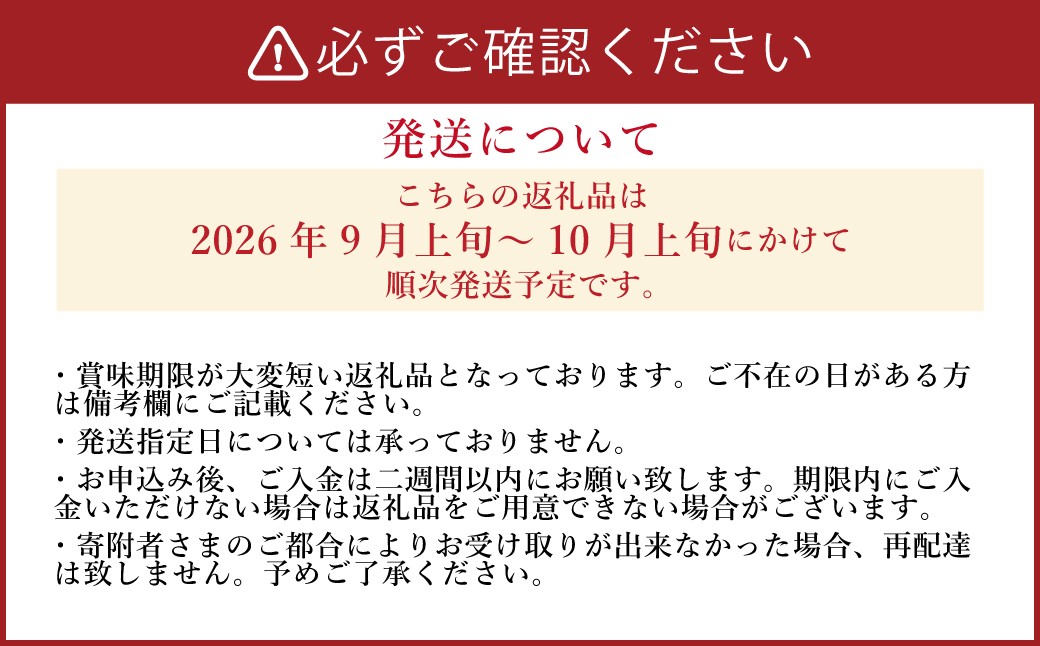 《先行予約》「山之上果実農業協同組合」山之上の梨 二十世紀 1箱 約2.5kg