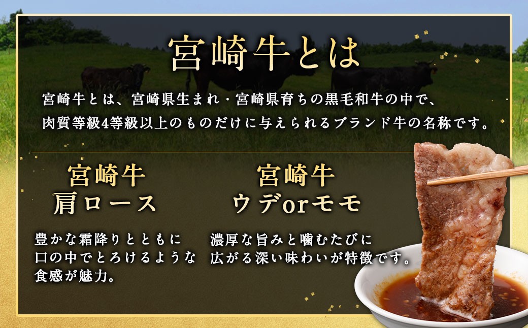 宮崎牛焼肉2種（赤身霜降り） 計600g