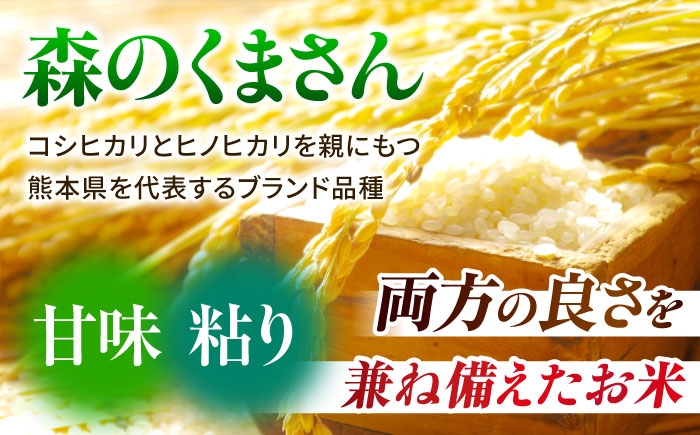 熊本県産 森のくまさん 白米 5kg