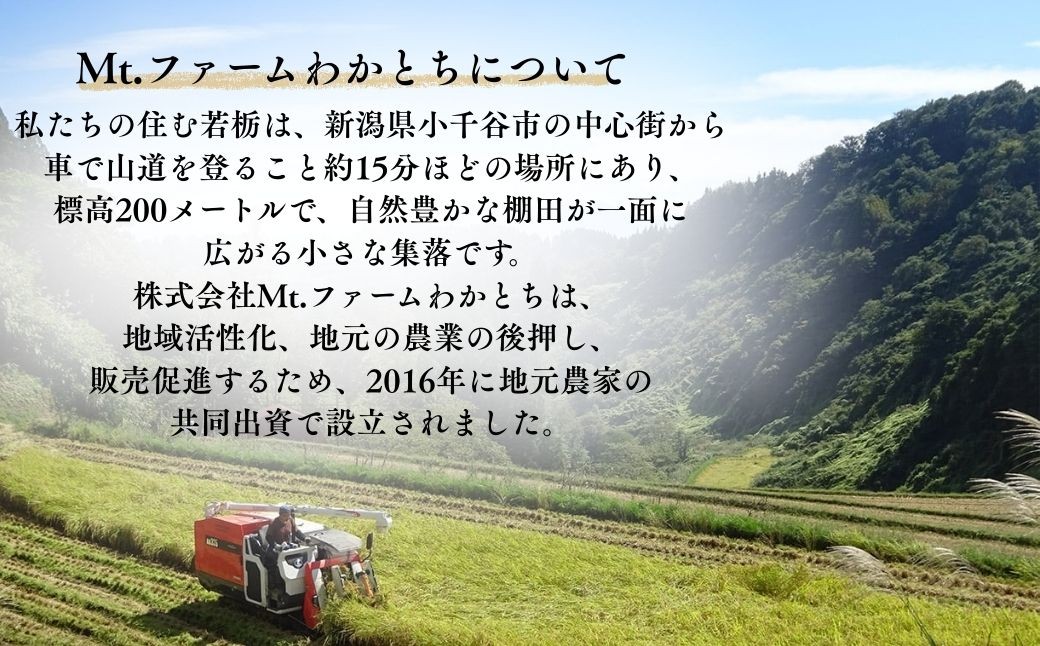 「こがねもち」を使い、水を使わず搗きあげた昔ながらの粘りの強いお餅