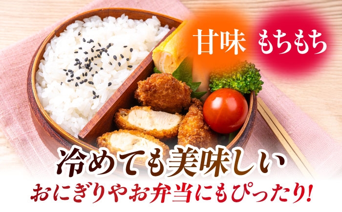 熊本県産 くまさんの輝き 白米 5kg