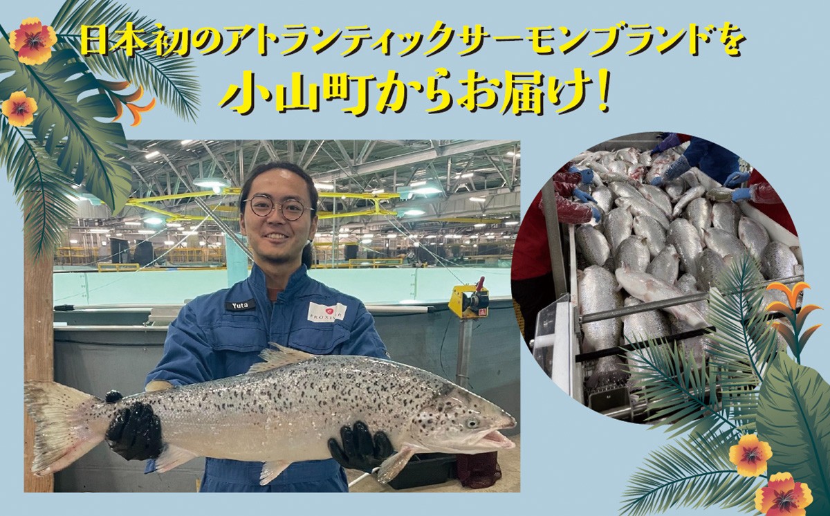 小山町からお届け