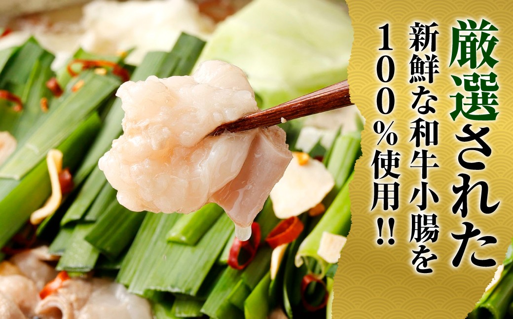 特選 もつ鍋 セット 5～6人前 醤油スープ モツ もつ 小腸 醤油 ちゃんぽん麺