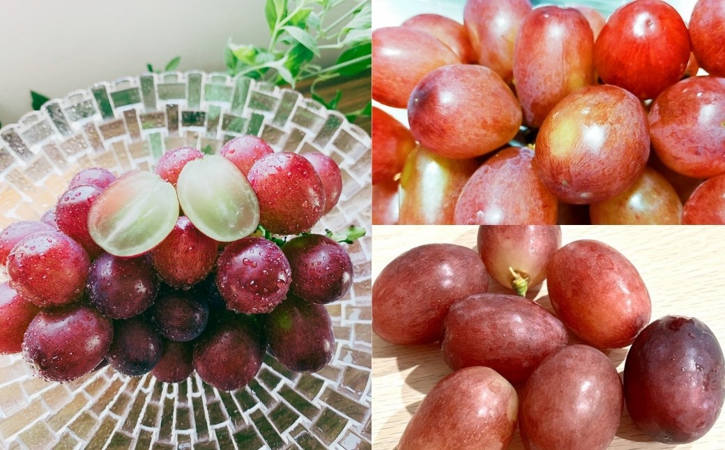  クイーンルージュ®  約1kg ( 2~3房 )