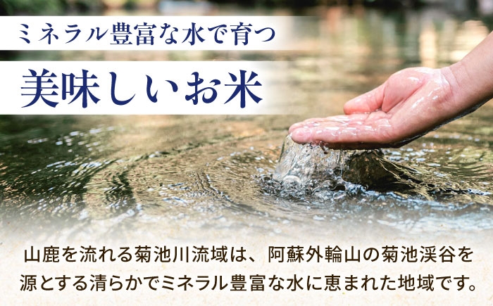 【3回定期便】熊本県産 森のくまさん 白米 10kg (5kg×2)