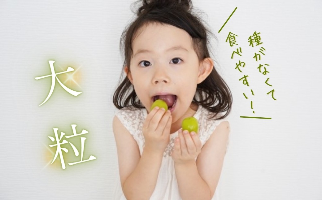 シャインマスカット 約1kg（2~3房）※最低900g以上