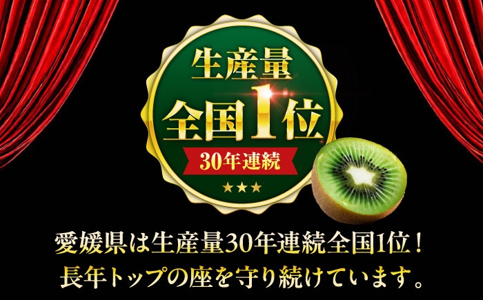 キウイ 訳アリ 訳あり ご家庭用 フルーツ 果物 キウイフルーツ デザート 美容 健康 愛媛キウイ ヘイワード 冬果物 人気 
