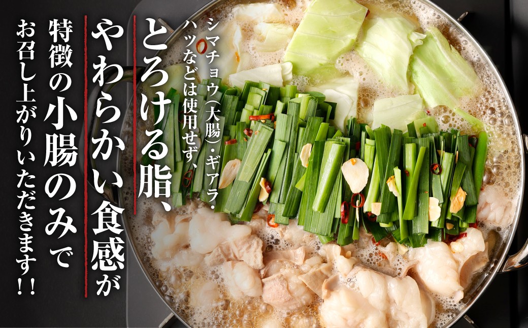 特選 もつ鍋 セット 5～6人前 醤油スープ モツ もつ 小腸 醤油 ちゃんぽん麺