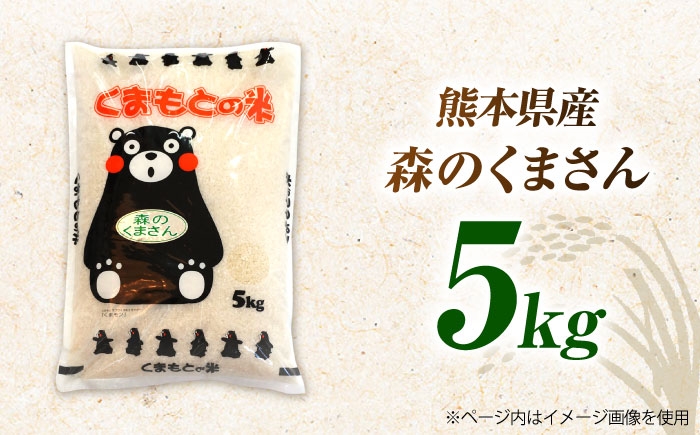 熊本県産 森のくまさん 白米 5kg