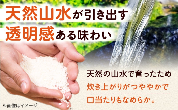 令和7年産 キヌヒカリ 米 お米 白米 コメ おこめ 10kg 5kg きぬひかり 人気 おすすめ 産地直送 国産 新鮮