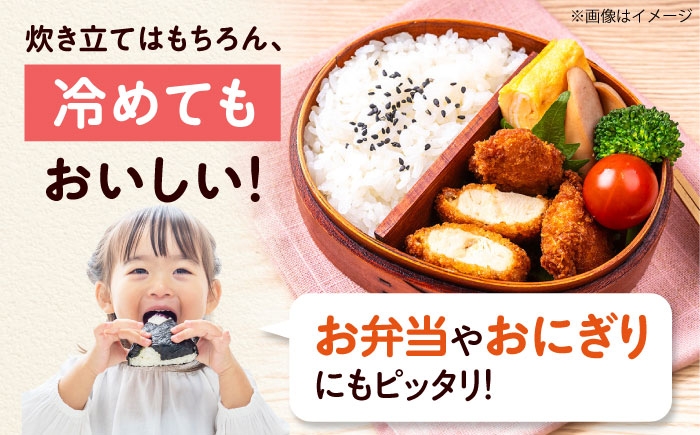 米 令和7年産 キヌヒカリ きぬひかり お米 白米 コメ おこめ 10kg 5kg 人気 おすすめ 産地直送 国産 新鮮