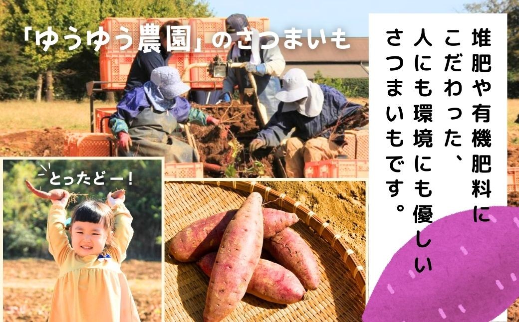 干し芋 紅はるか 特選干し芋 全国ほしいもグランプリ入賞 干し芋 紅はるか 干しいも ほし芋 ほしいも ホシイモ