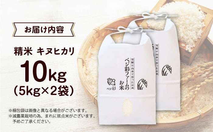 令和7年産 キヌヒカリ 米 お米 白米 コメ おこめ 10kg 5kg きぬひかり 人気 おすすめ 産地直送 国産 新鮮