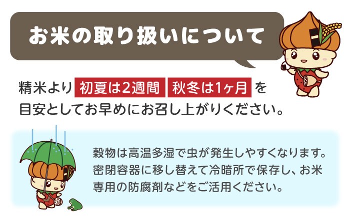 農家直送！15年連続特A評価「さがびより」を食卓へお届け！