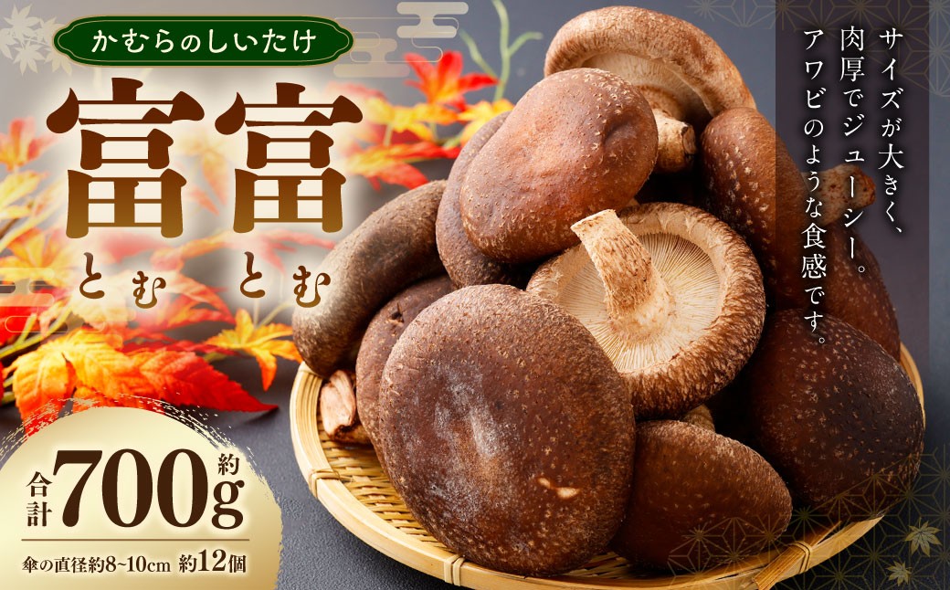 かむらのシイタケ富富 約700g