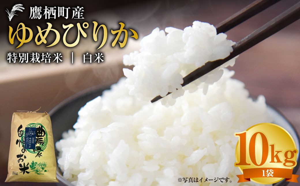 【令和7年産】 ゆめぴりか （ 白米 ） 10kg