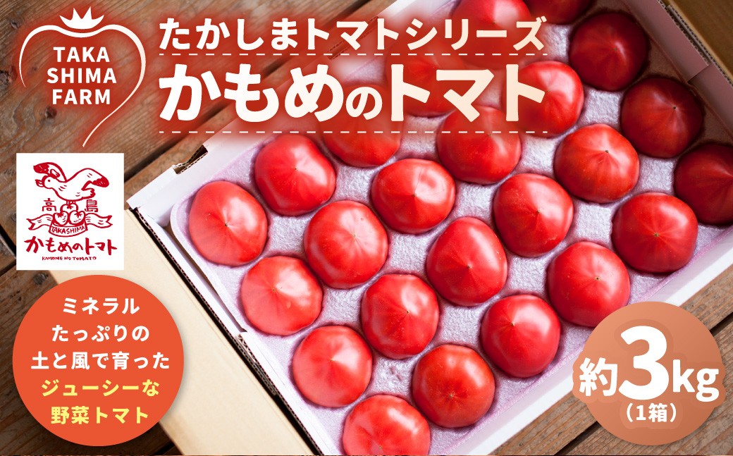糖度6度以上 たかしまトマトシリーズ かもめのトマト 約3kg