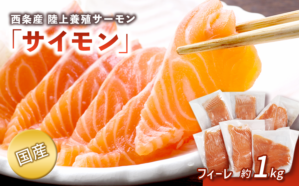 ※画像はイメージです