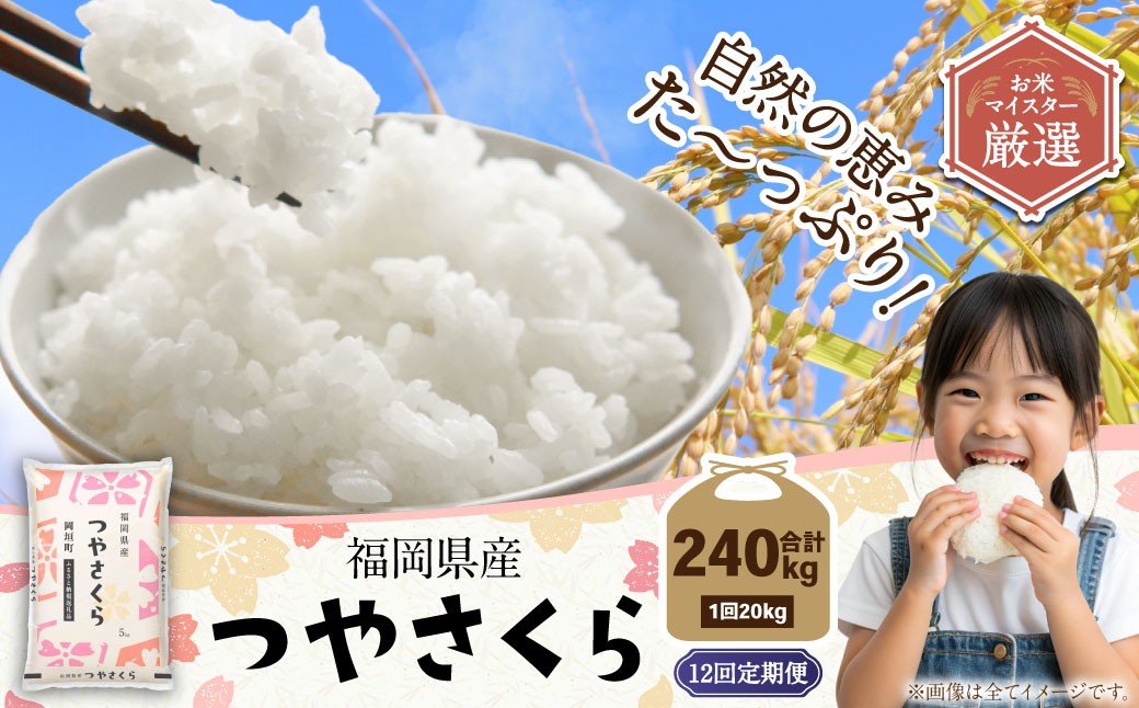 【12ヶ月定期便】福岡県産つやさくら 20kg