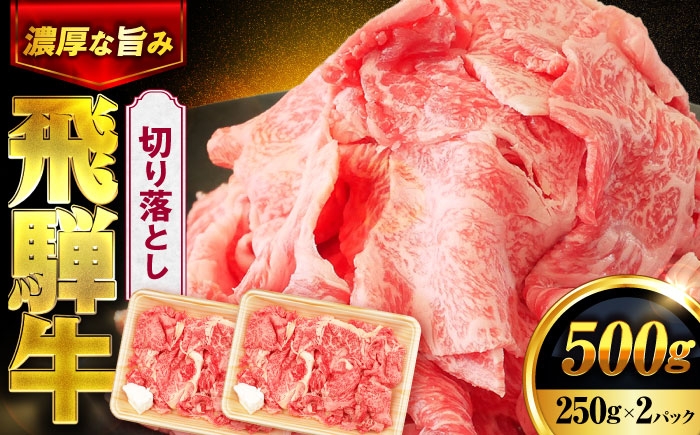 牛肉 飛騨牛 国産牛 和牛 ブランド牛 飛騨 肉 切り落とし 小分け カレー 肉炒め 黒毛和牛 赤身 霜降り