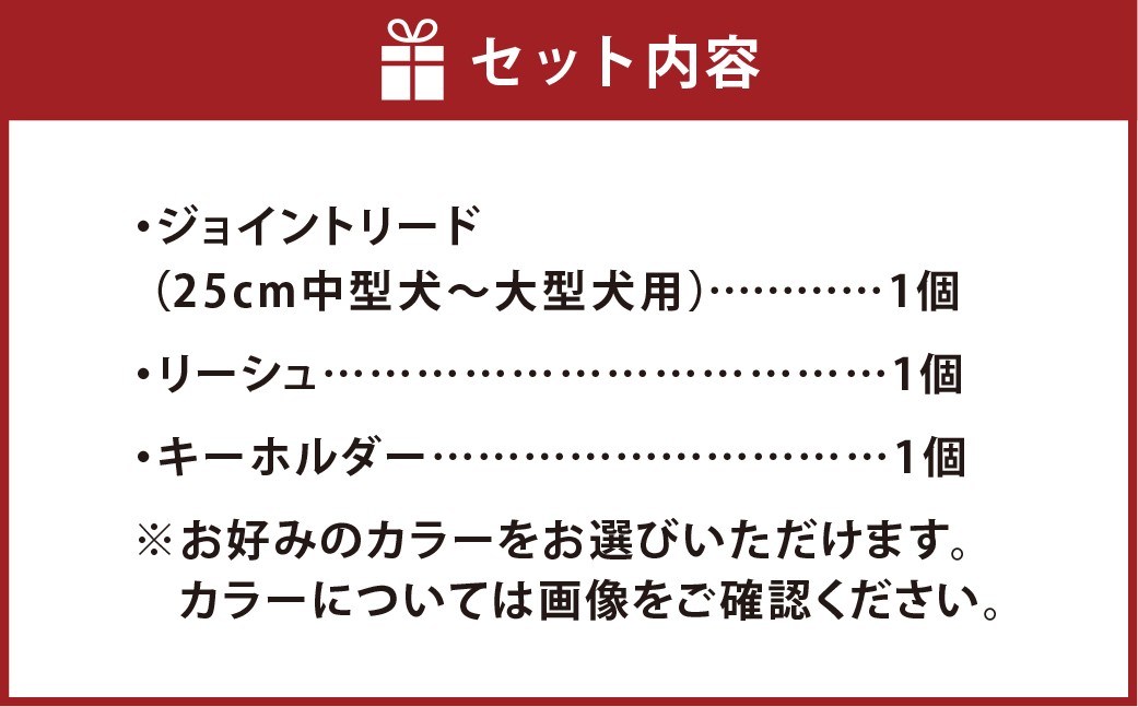 ジョイントリード（8本丸編み・スタンダード）＆愛犬さんと飼主さんを繋ぐリーシュ（サブ持ち手）セット