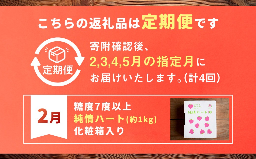 【年4回定期便】たかしまフルーティトマトの小箱コース