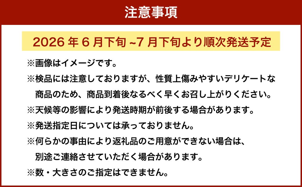 枝豆 湯あがり娘 約1kg ｜ 野菜 豆 えだまめ おつまみ おやつ 旬 旬の野菜 国産 小分け 個包装 静岡県 菊川市