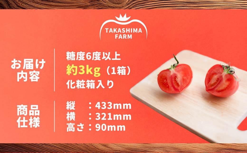 糖度6度以上 たかしまトマトシリーズ かもめのトマト 約3kg