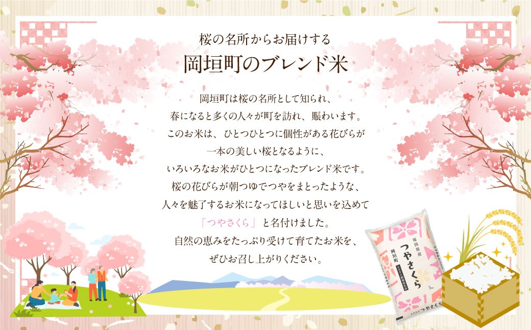 【3ヶ月定期便】福岡県産つやさくら 10kg