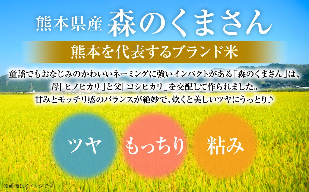 童謡でもおなじみのかわいいネーミングに強いインパクトがある「森のくまさん」は、甘味とモッチリ感のバランスが絶妙♪