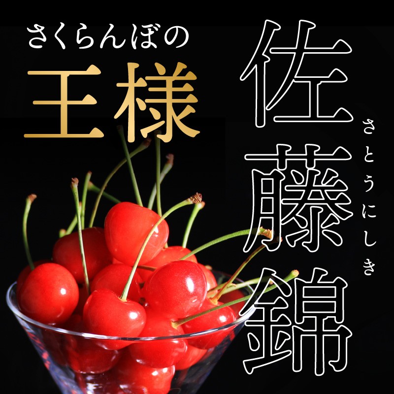 《先行受付》さくらんぼ 佐藤錦 500g 秀品 Lサイズ バラ詰め 【2026年6月中旬頃～発送予定】【山形県産さくらんぼ】