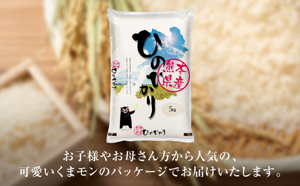 お子様やお母さん方から人気の、可愛いくまモンのパッケージでお届けいたします。
