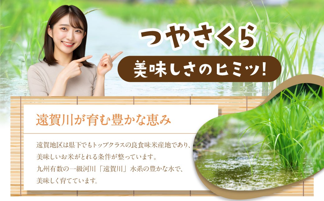 【6ヶ月定期便】福岡県産つやさくら 10kg