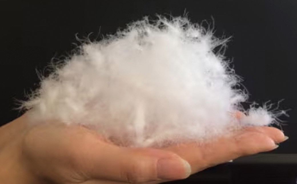 羽毛 専門工場 直送 国産 羽毛ふとん ダックダウン 70% 1.0kg