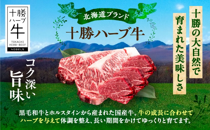 牛肉 牛 肉 にく ニク サーロイン ひれ ヘレ ステーキ 国産 道産 北海道産