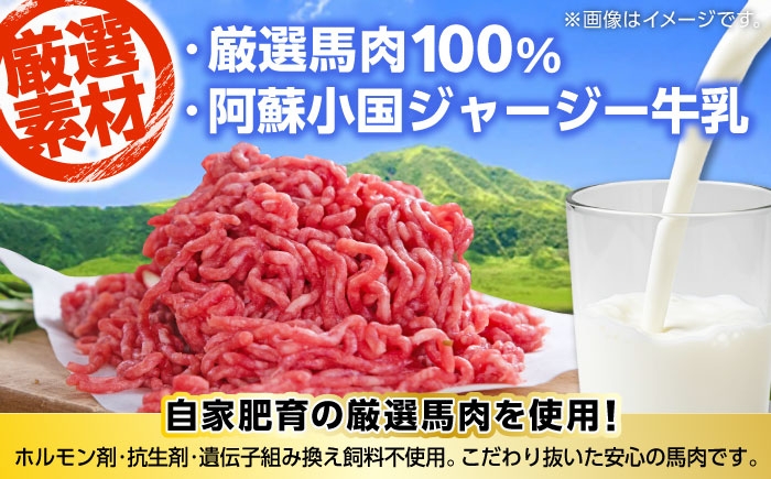 馬肉ハンバーグ 150g 10個 冷凍 計約1.5kg 惣菜 ハンバーグ 小分け 個包装 ハンバーグ
