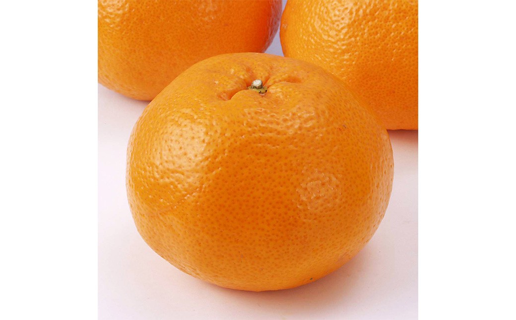 【希望の島】 はるみ 特選品 中玉 2kg