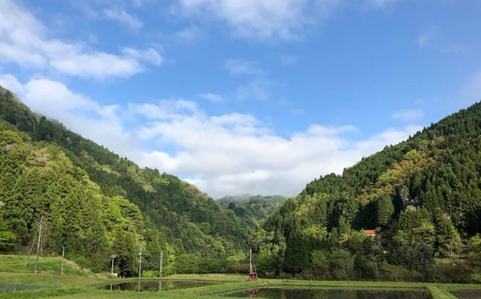 餅 杵つきまるもち もち まるもち お餅 おもち お雑煮 おしるこ お正月