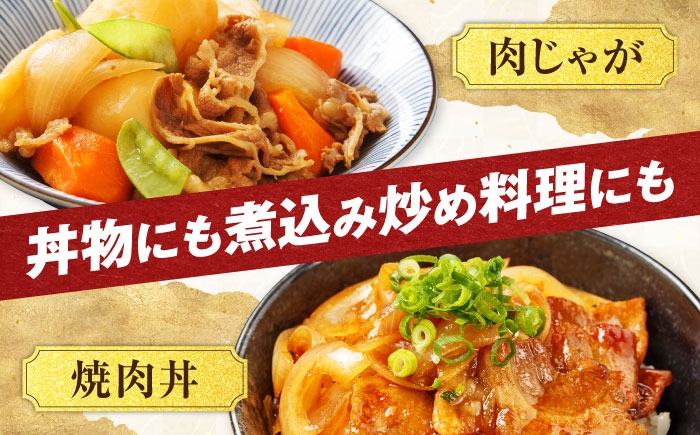牛肉 飛騨牛 国産牛 和牛 ブランド牛 飛騨 肉 切り落とし 小分け カレー 肉炒め 黒毛和牛 赤身 霜降り