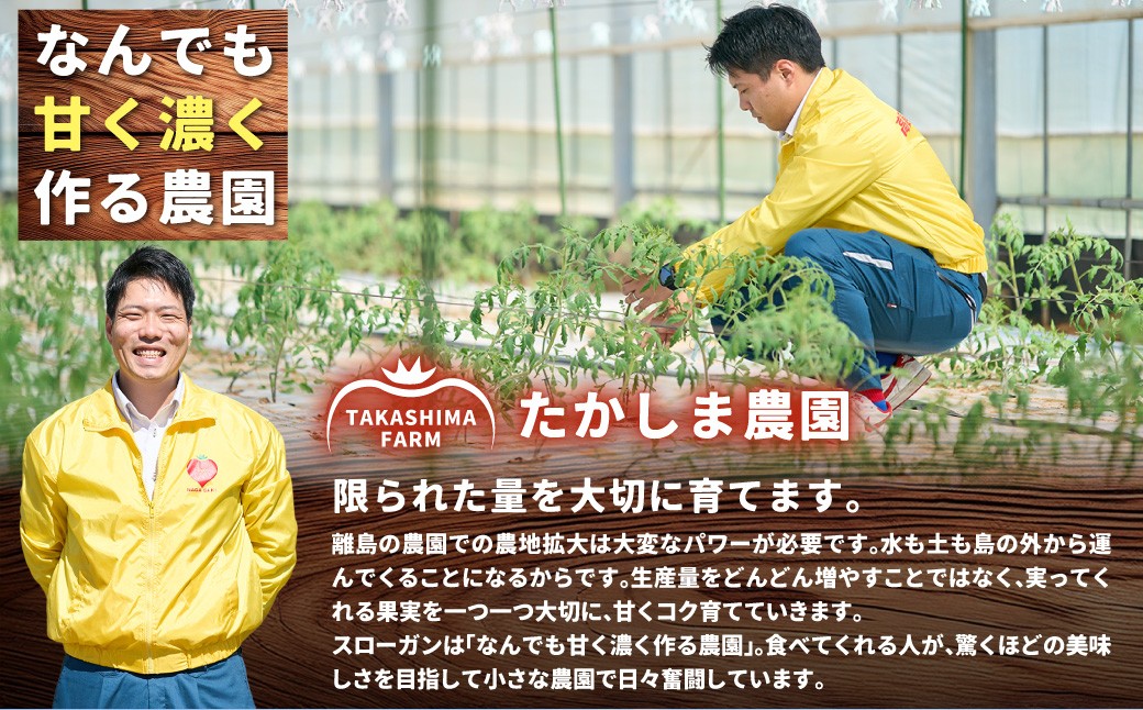 訳あり 糖度10度以上 ハートのプリンセス 約3kg箱