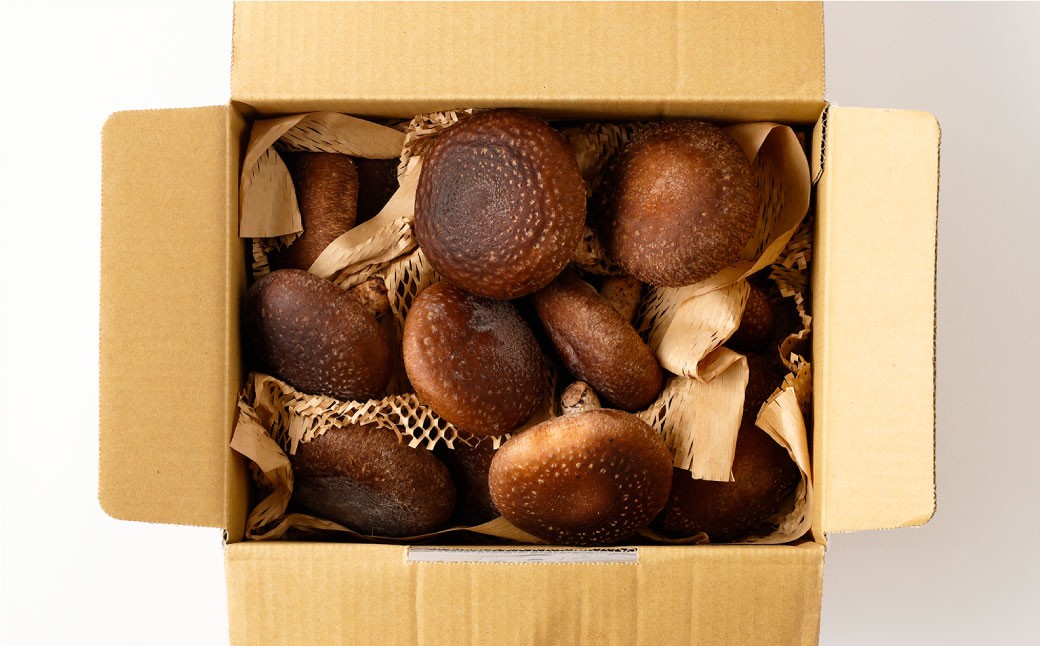 かむらのシイタケ富富 約700g