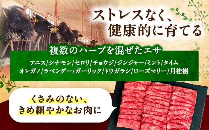 牛肉 牛 肉 にく ニク サーロイン ひれ ヘレ ステーキ 国産 道産 北海道産