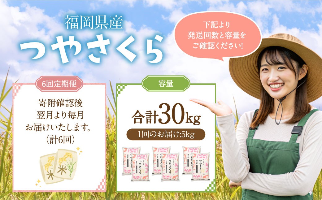 【6ヶ月定期便】福岡県産つやさくら 5kg