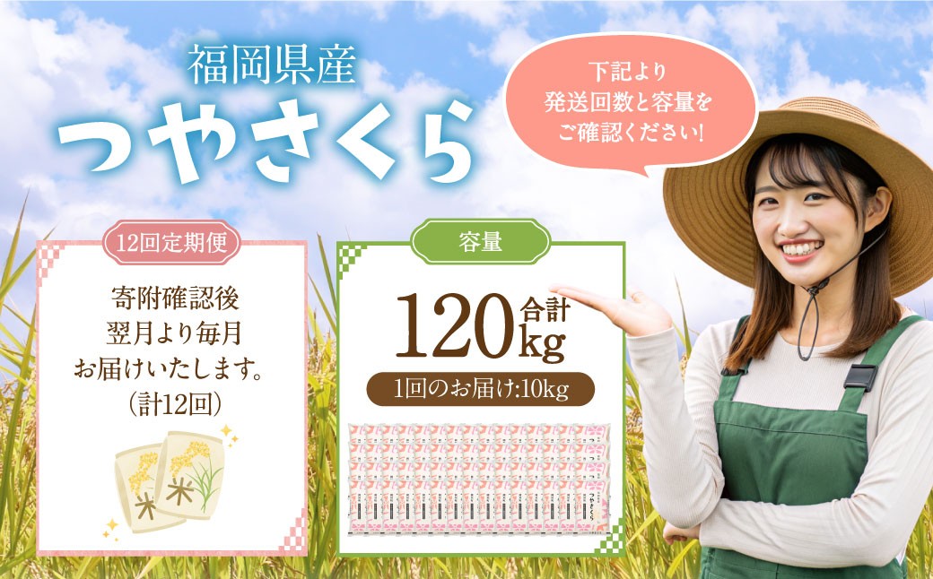 【12ヶ月定期便】福岡県産つやさくら 10kg