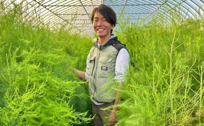 アスパラ アスパラガス グリーンアスパラガス 季節の野菜 春野菜 先行予約 島根