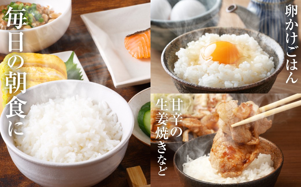 卵かけごはんや甘辛の生姜焼きなど毎朝の朝食に！