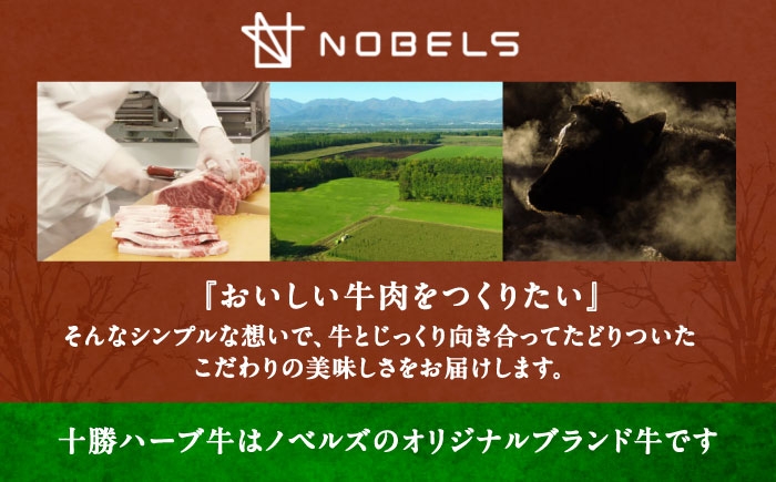 牛肉 牛 肉 にく ニク サーロイン ひれ ヘレ ステーキ 国産 道産 北海道産